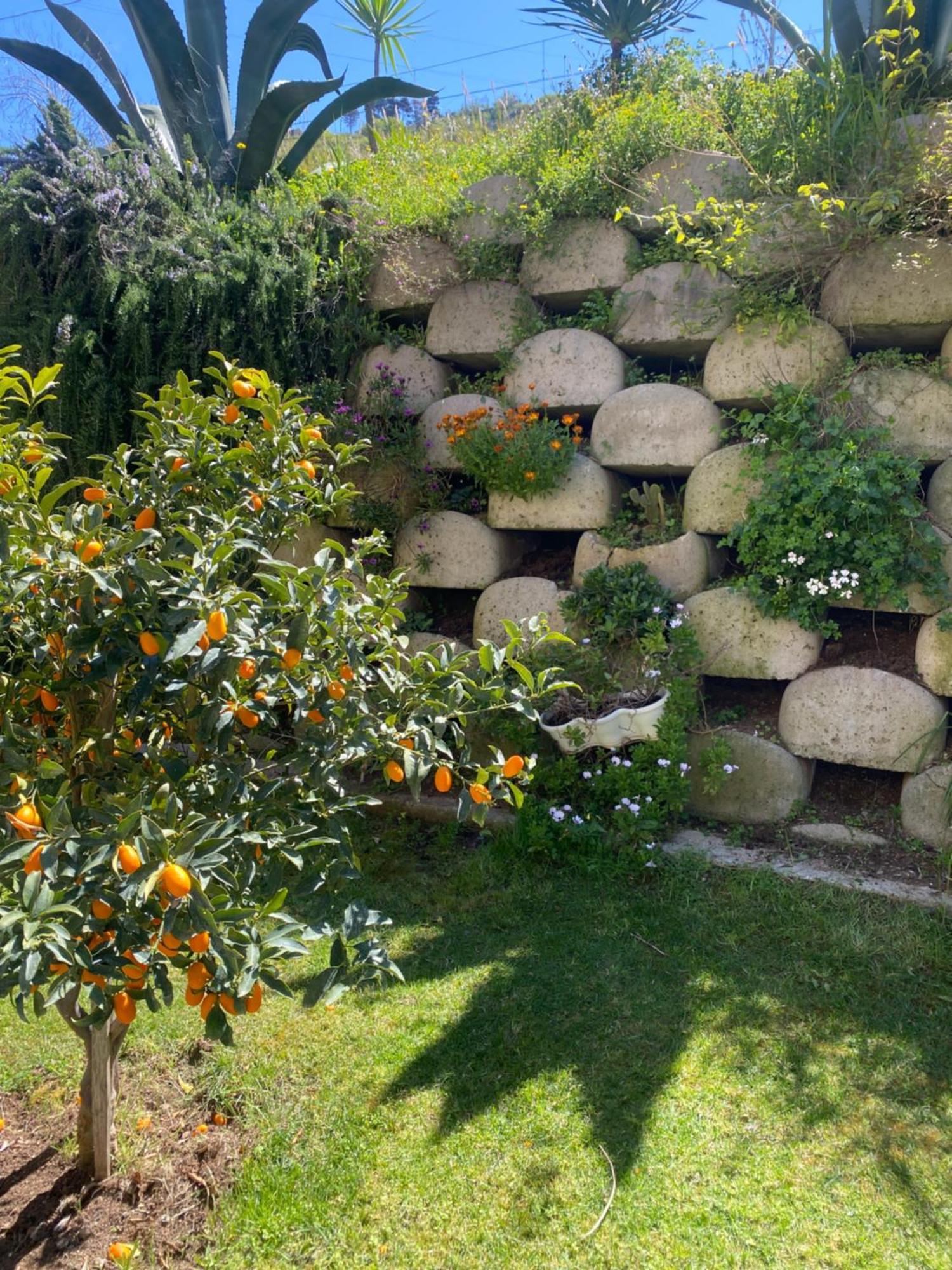Residenza Roma Bed and Breakfast Tropea Buitenkant foto