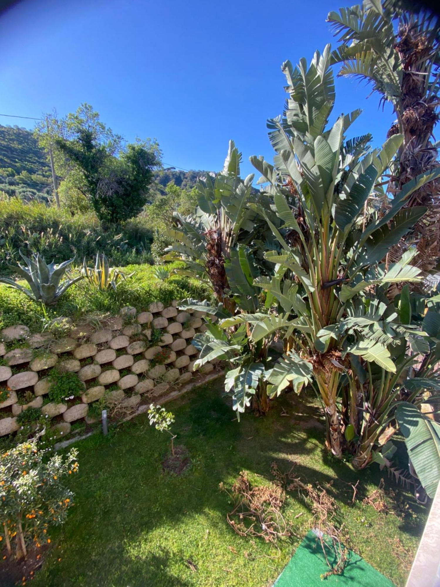 Residenza Roma Bed and Breakfast Tropea Buitenkant foto