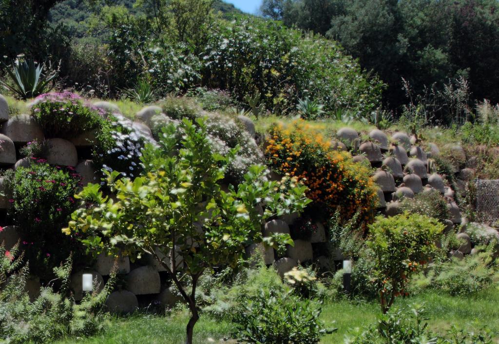 Residenza Roma Bed and Breakfast Tropea Buitenkant foto